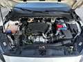 Ford Focus 1.5 EcoBlue ST-Line Weiß - thumbnail 19
