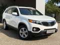 Kia Sorento ATTRACT*4WD*AUTOMATIK*R.F.KAMERA*LEDER*NAVI Blanc - thumbnail 3