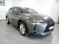 Lexus UX Full Electric UX Hybrid Business OFFERTA SUPERP Grigio - thumbnail 3