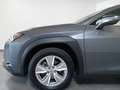 Lexus UX Full Electric UX Hybrid Business OFFERTA SUPERP Grigio - thumbnail 7
