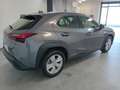 Lexus UX Full Electric UX Hybrid Business OFFERTA SUPERP Grigio - thumbnail 4