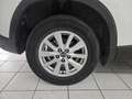 Mazda CX-5 2.2 Evolve 2wd 150cv 6at Bianco - thumbnail 23