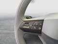 SEAT Ibiza Reference 1.0 TSI Grau - thumbnail 11
