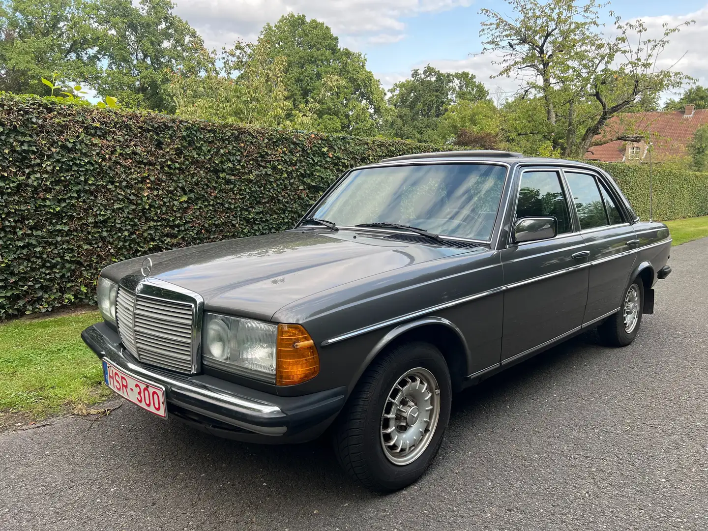 Mercedes-Benz 200 W123 200 M102 109 PK Gris - 1