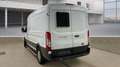 Ford Transit Kasten 350 L3 H2 Trend Standheizung Weiß - thumbnail 3