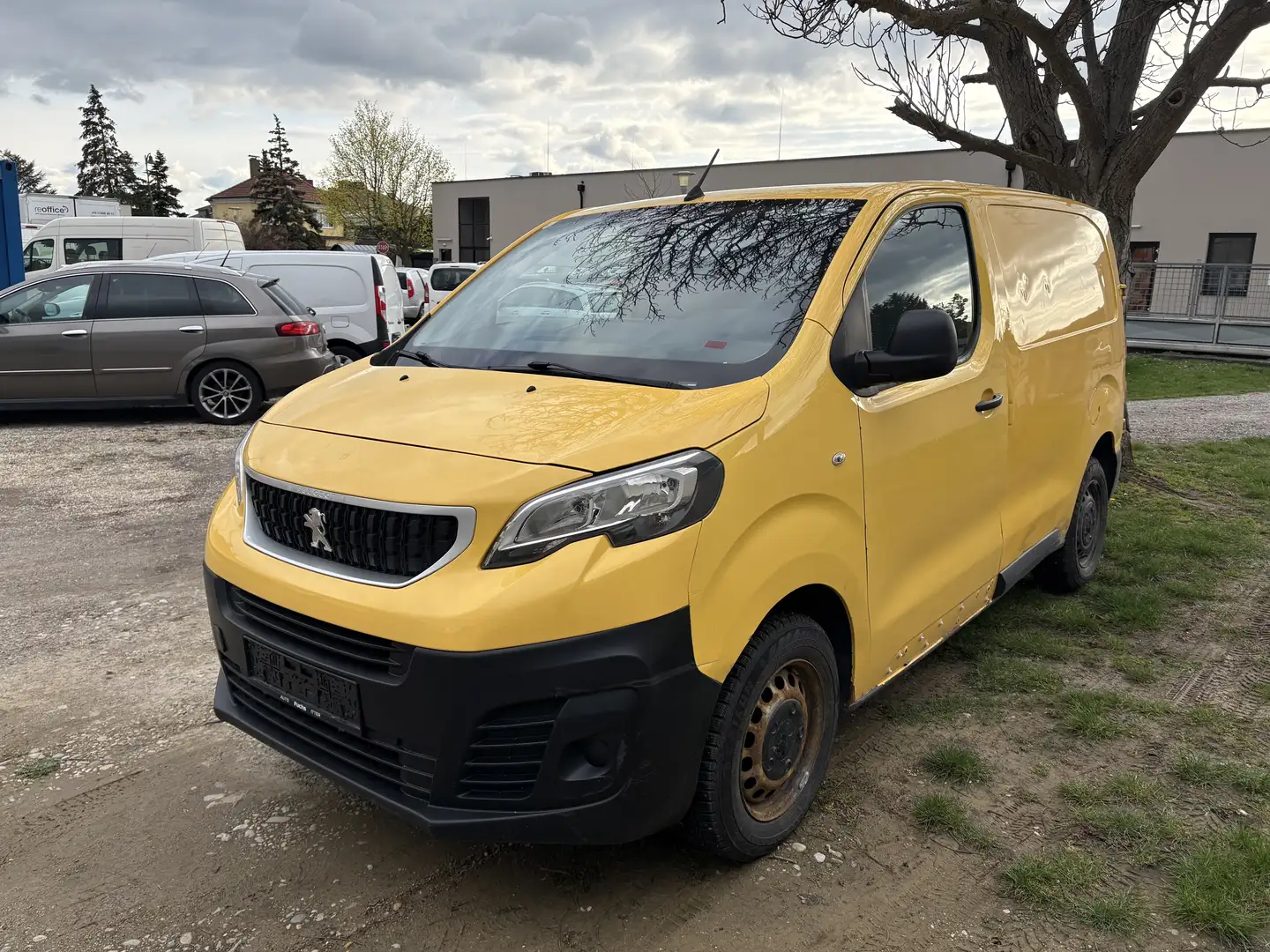 Peugeot Expert Expert Dangel 4x4 2,0Hdi - 2