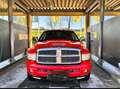 Dodge RAM Mit Hardtop, Oldtimer, nicht fahrbereit! - thumbnail 8