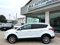 Ford Kuga 2.0 TDCI 140 CV 4WD Powershift Titanium Bianco - thumbnail 10