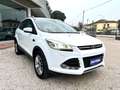 Ford Kuga 2.0 TDCI 140 CV 4WD Powershift Titanium Bianco - thumbnail 4