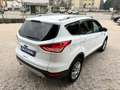 Ford Kuga 2.0 TDCI 140 CV 4WD Powershift Titanium Bianco - thumbnail 13