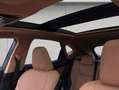 Lexus NX350h 4x4 Luxury Line + Panorama Modell2026 Noir - thumbnail 9