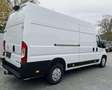 Opel Movano 35 2.3 CDTI 145CV S&S PL-SL-TA  Furgone Edition Bianco - thumbnail 2