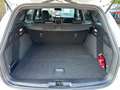 Ford Focus HYBRID ST-Line Style~APPLE~LED~1.HAND Blanco - thumbnail 8