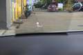 Volkswagen Passat Variant Passat Variant  2.0 TDI Business PANO+HUD+AHK+ACC+ Blanc - thumbnail 11