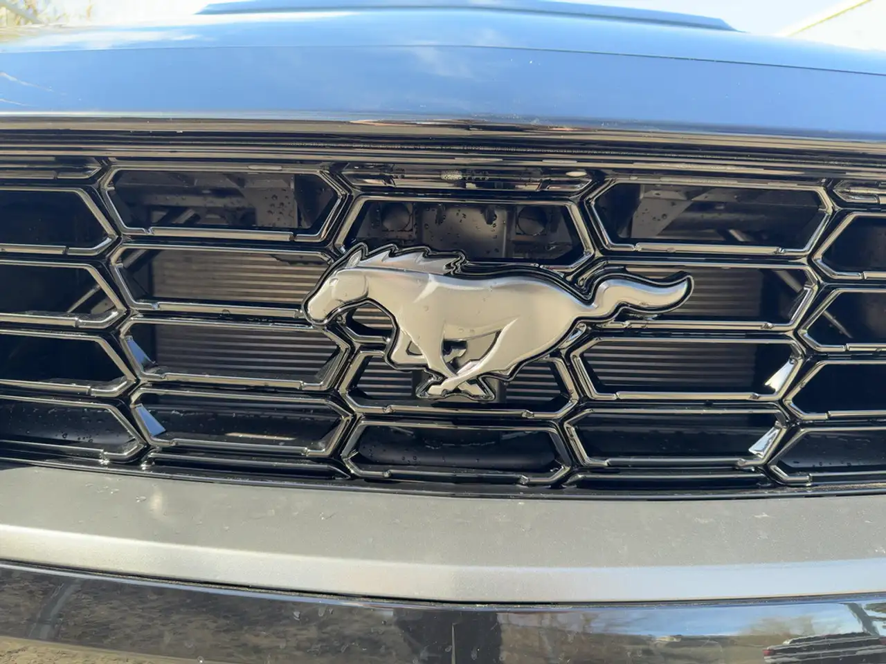 Ford Mustang снимка Ford Mustang