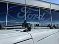 Ford Transit Custom 2.0 TDCi 340 L1 Trend  340 L1 Trend Weiß - thumbnail 11
