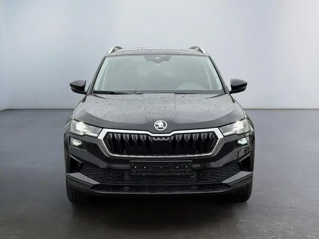 Skoda Karoq view 2