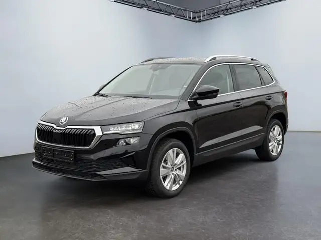 Skoda Karoq main image