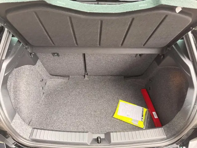 Seat Ibiza view 12