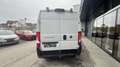 Fiat Ducato 35 L3H2 140 Weiß - thumbnail 4