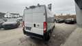 Fiat Ducato 35 L3H2 140 Weiß - thumbnail 5