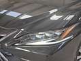 Lexus ES 300 300h Luxury Schwarz - thumbnail 33