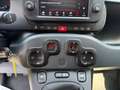 Fiat Panda 1.0 FireFly S&S Hybrid *PROMO AZZURRA* Blu/Azzurro - thumbnail 17