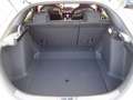 Honda Civic 2.0 VTEC Turbo Type R | CARBON-EDITION Bianco - thumbnail 13