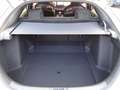 Honda Civic 2.0 VTEC Turbo Type R | CARBON-EDITION Bianco - thumbnail 12