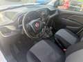 Fiat Doblo Cargo 1,6D 90PS 1.Bes.*Kastenwagen*2 Sitzer* Weiß - thumbnail 6