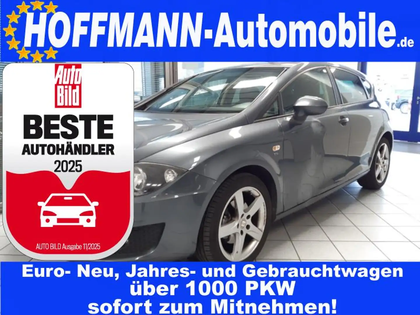 SEAT Leon Style ohne Tüv Grau - 1
