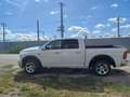 Dodge RAM Crew Cab SLT Edition 5.7 Hemi Weiß - thumbnail 5