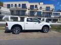 Dodge RAM Crew Cab SLT Edition 5.7 Hemi Weiß - thumbnail 2