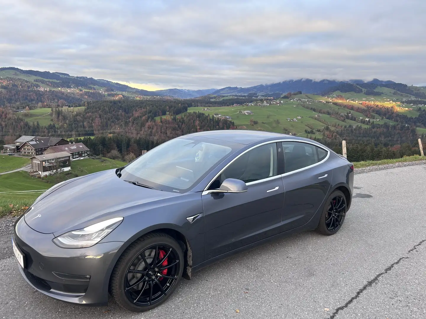 Tesla Model 3 Performance AWD 57,5kWh - 2