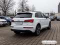 Audi Q5 50 TFSI e S tronic qu. S line Pano/AHK/ACC/Vi Weiß - thumbnail 8