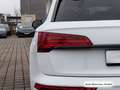 Audi Q5 50 TFSI e S tronic qu. S line Pano/AHK/ACC/Vi Weiß - thumbnail 12