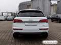 Audi Q5 50 TFSI e S tronic qu. S line Pano/AHK/ACC/Vi Weiß - thumbnail 9
