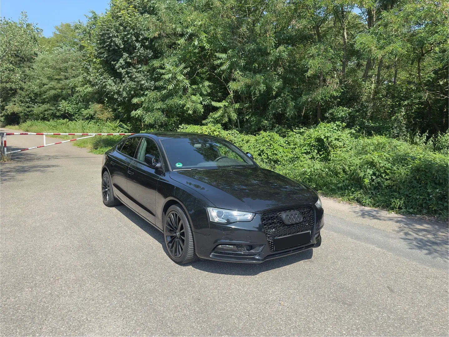 Audi A5 2.0 TFSI (165kW) Schwarz - 2
