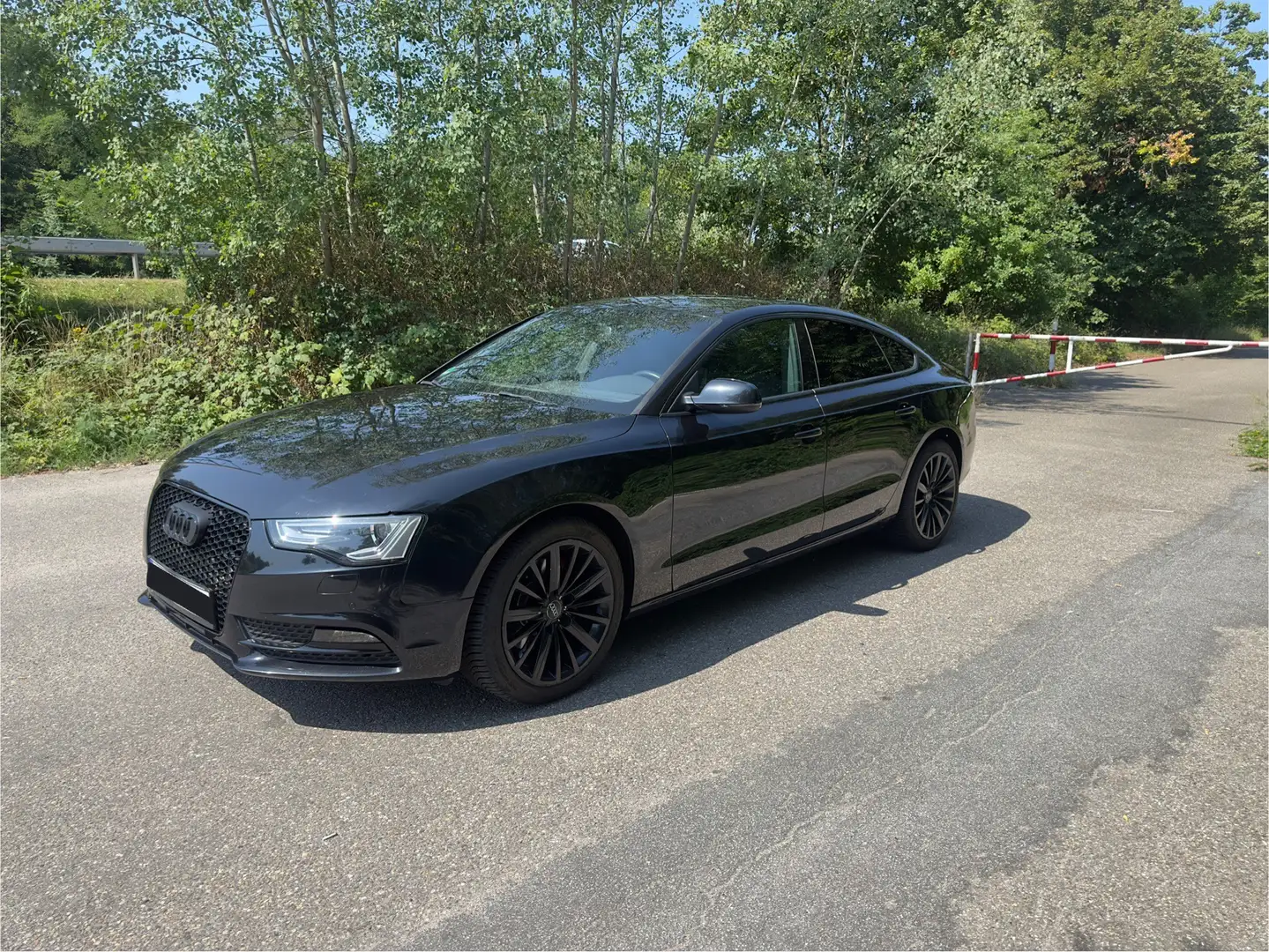 Audi A5 2.0 TFSI (165kW) Schwarz - 1