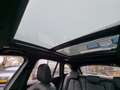 BMW X1 sDrive20i High Executive 192 PK | X-line | Panoram Brun - thumbnail 34