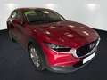 Mazda CX-30 2.0 SKYACTIV-G M Selection ACC LED Navi LM Rot - thumbnail 3