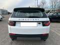 Land Rover Discovery Sport 2.0 TD4 150 CV Pure Weiß - thumbnail 4
