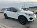 Land Rover Discovery Sport 2.0 TD4 150 CV Pure Weiß - thumbnail 5