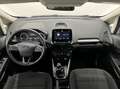 Ford EcoSport EcoSport 1.0 ecoboost Business 100cv Silver - thumbnail 13