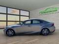 Lexus IS 300 300h Executive Gris - thumbnail 8