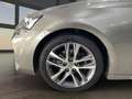 Lexus IS 300 300h Executive Gris - thumbnail 9