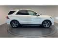 Mercedes-Benz GLE 250 250 d 204 SPORTLINE AMG 4-Matic ORIGINE FRANCE Weiß - thumbnail 5