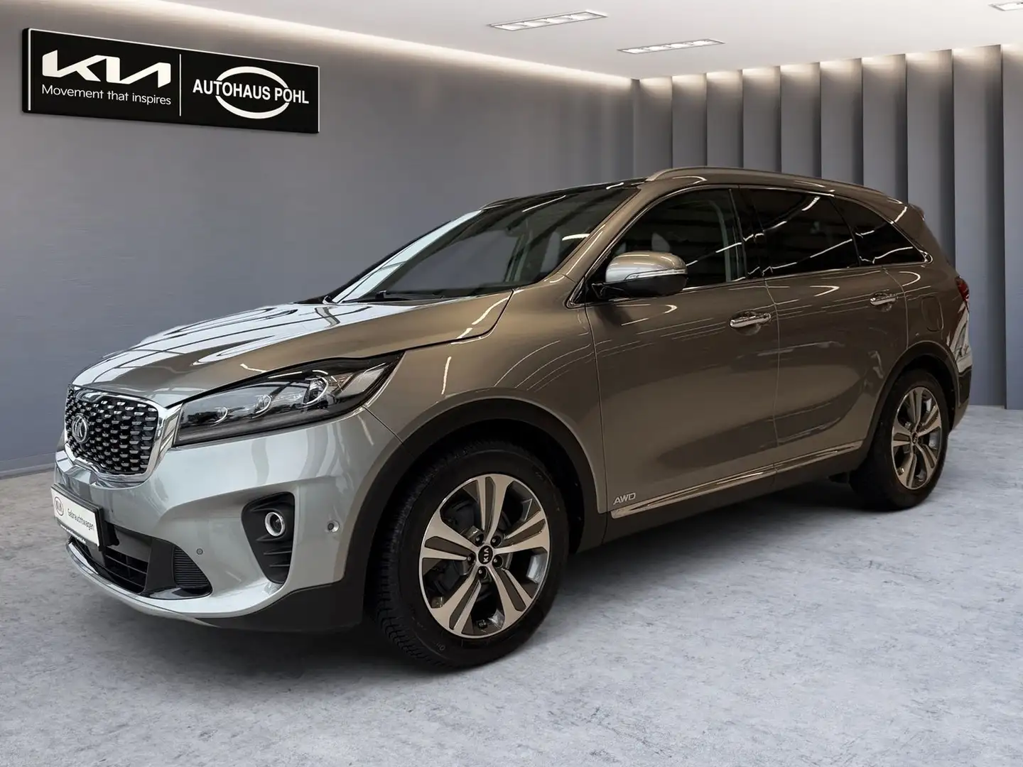 Kia Sorento SORENTO 2.2D AWD AT8 PLATINUM Gris - 2