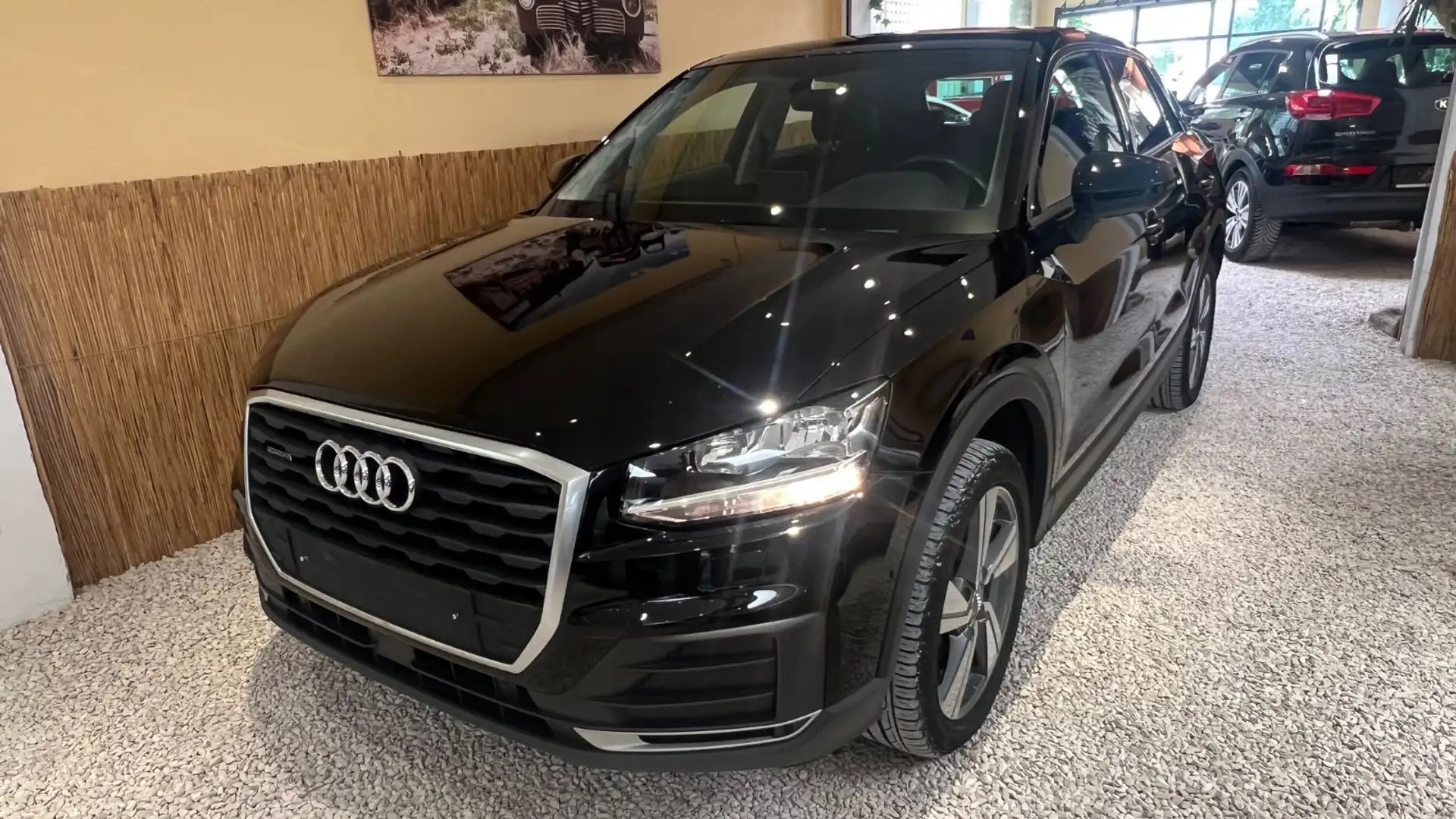 Audi Q2 quattro Panoramadach Schwarz - 1