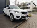 Land Rover Range Rover Sport HSE 7 places PANO Full équipé Blanc - thumbnail 2